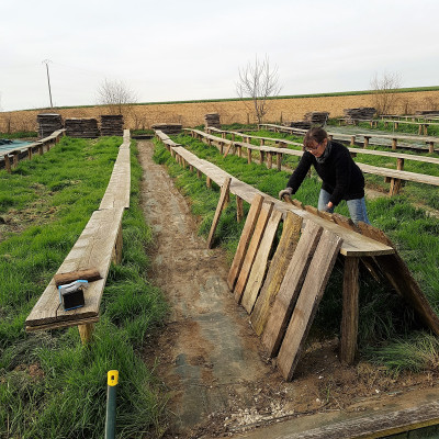 La ferme - au printemps - l’installation des parcs