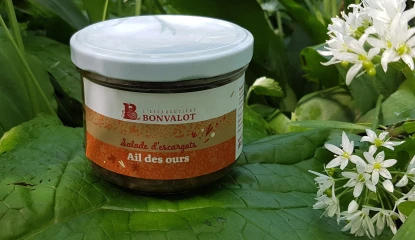 Salade d’escargots ail des ours - 90g